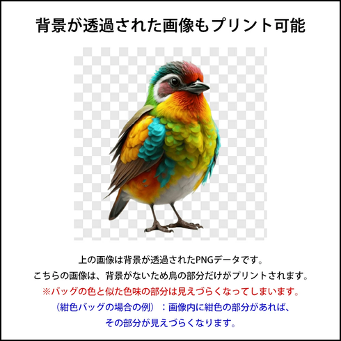 デニム生地、バック・ポーチ