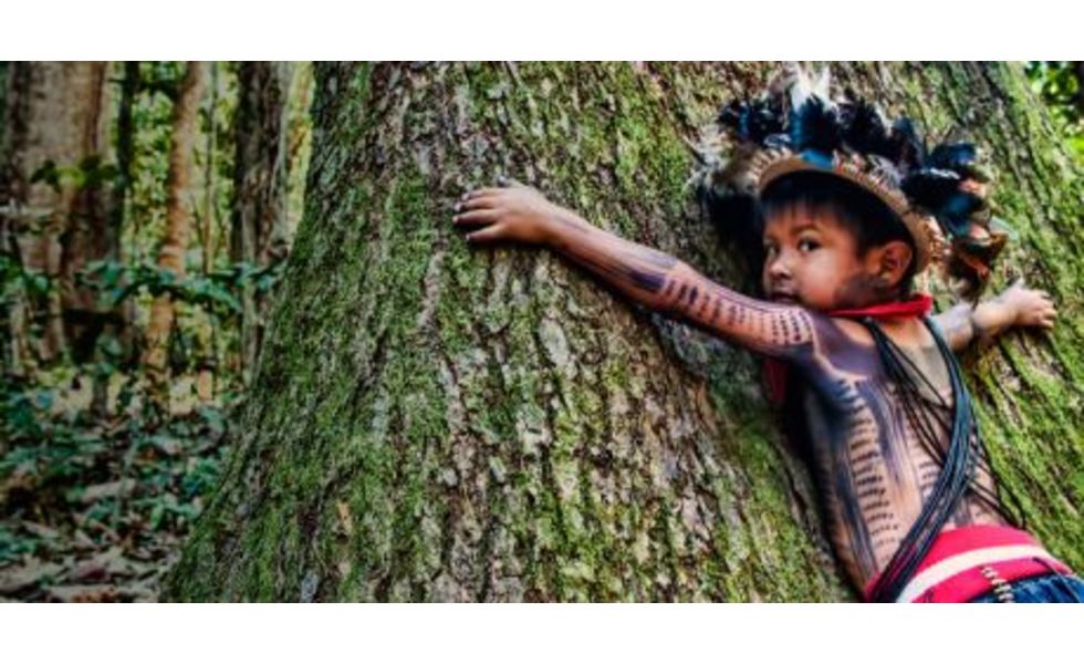 ブラジル政府、壊滅的なアマゾン破壊に終止符を！